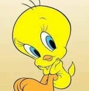 Meet your Posher, Cathy